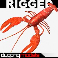 Lobster