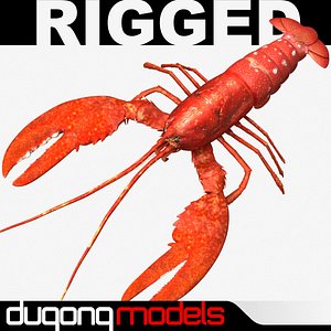 Lobster