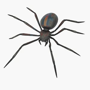 Halloween rigged lowpoly animated spider with no Fur