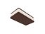 Ice Cream Sandwich