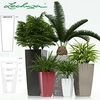 plant 21 Lechuza CUBICO