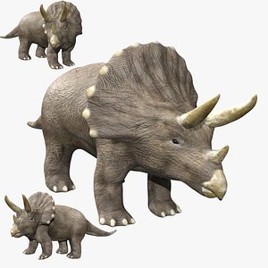 Rigged Triceratops 3D model