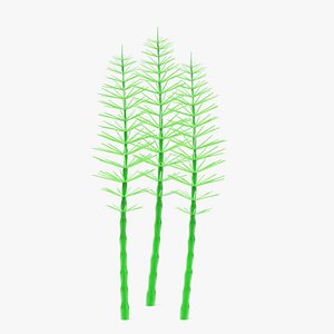 aquatic plant 3d model