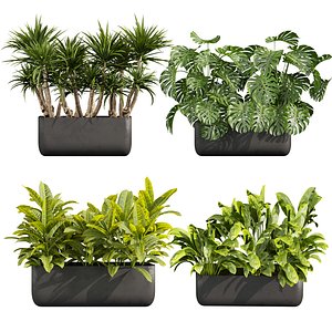 3D plant vol 706 - monstera - croton - peace lily - palm model