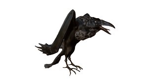 old raven 3D model