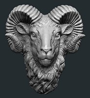 Ram head