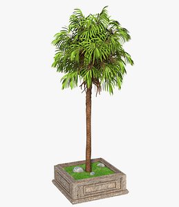 3D palm street tree model
