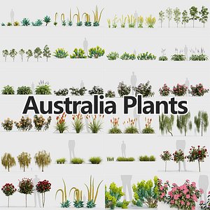 3D Australia Plants Collection 3D model