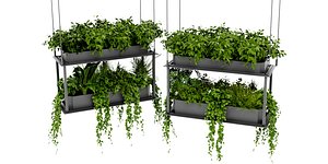 Collection plant vol 470 - blender model