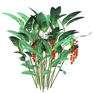 3d heliconia rostrata