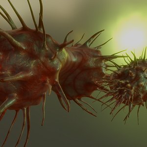 3D bacteria