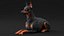 Cão Doberman Pinscher equipado