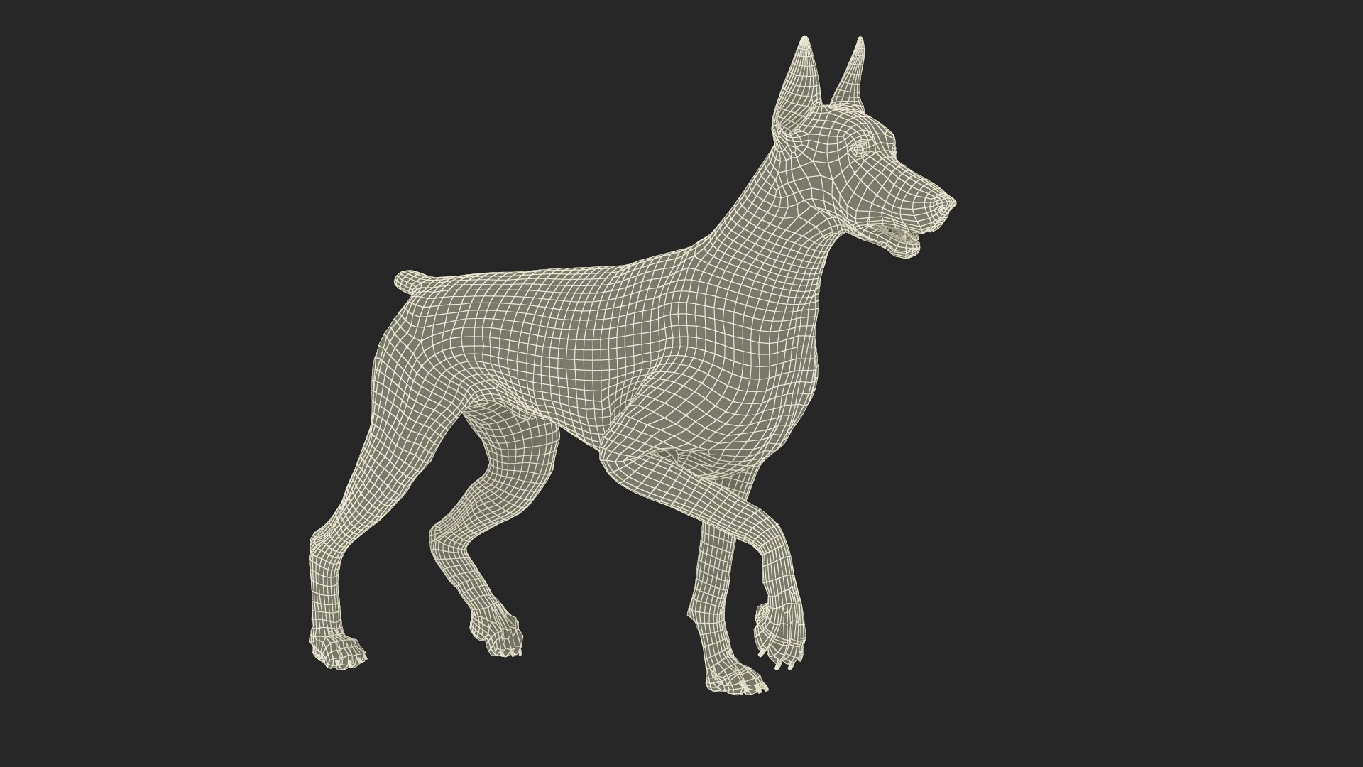 Doberman Pinscher Dog Rigged 3D https://p.turbosquid.com/ts-thumb/EI/YMO8rf/9X/dobermanpinscherdogriggedc4dmodel028/jpg/1722532939/1920x1080/fit_q87/59aa0b7188b9daeac31f71f9fb8e95f567ec5719/dobermanpinscherdogriggedc4dmodel028.jpg