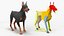 Cão Doberman Pinscher equipado