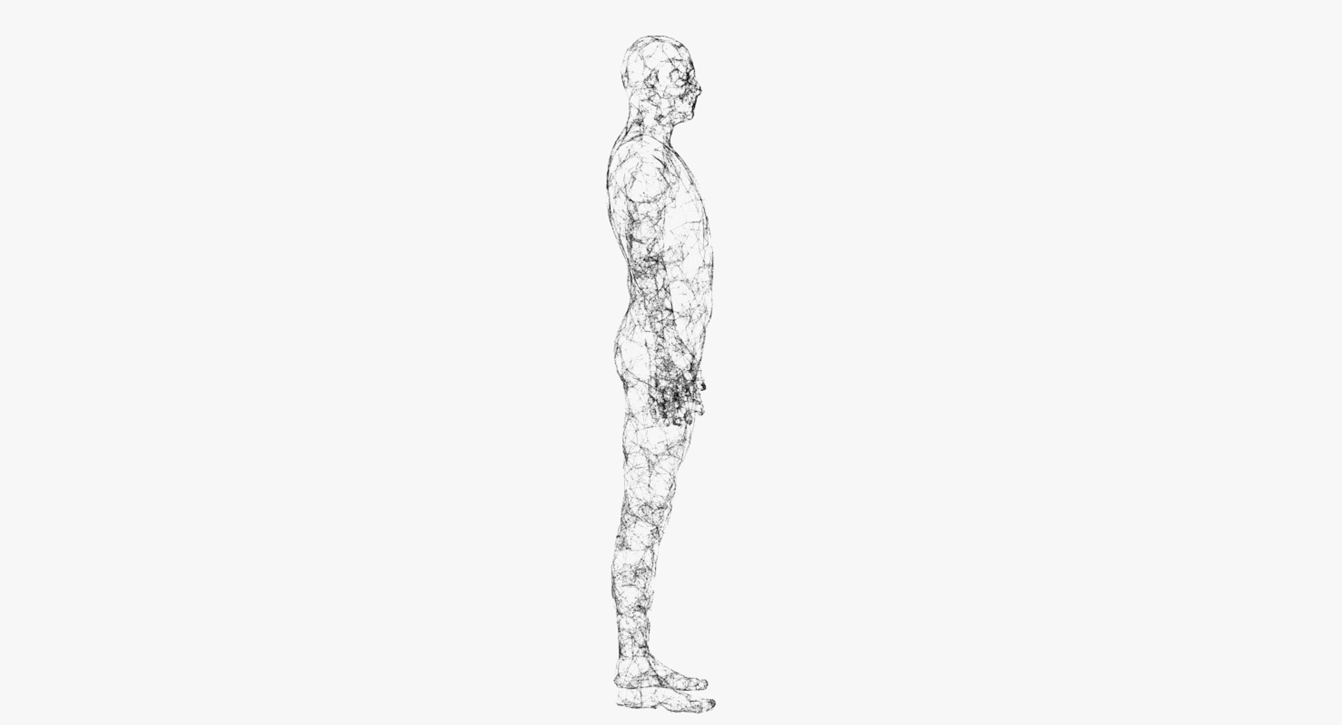 3D model plexus human https://p.turbosquid.com/ts-thumb/EI/eXRFRk/KRnPmSJ2/product_shots_01/png/1523089947/1920x1080/fit_q87/1c270fb6c1d90b7cdd007a0761455b3da5882a3f/product_shots_01.jpg