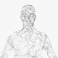 Plexus Human
