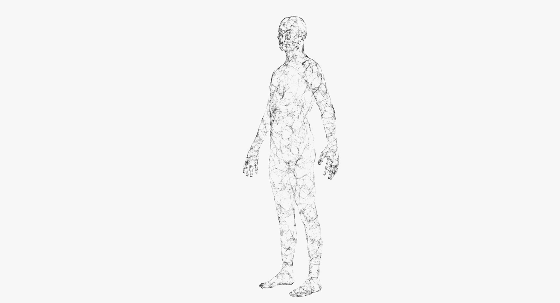 3D model plexus human https://p.turbosquid.com/ts-thumb/EI/eXRFRk/s92T7TLa/product_shots_02/png/1523089947/1920x1080/fit_q87/f6420bf47b1e9f338b4f3a69f53b8625a4780064/product_shots_02.jpg