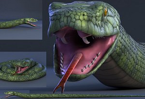 snake reptile animal 3D model