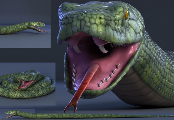 Snake reptile animal 3D model - TurboSquid 1474867