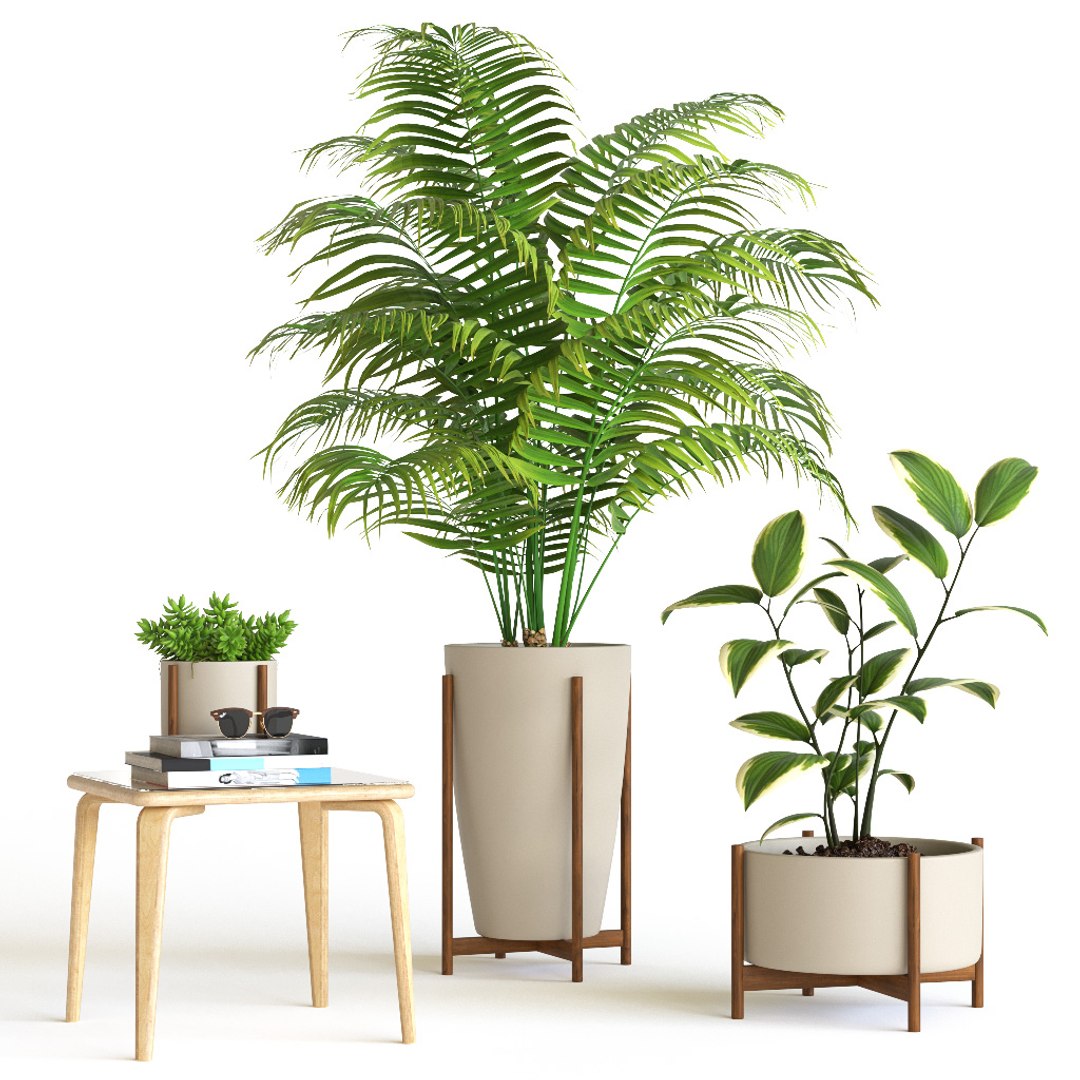 3D plant set - TurboSquid 1226909