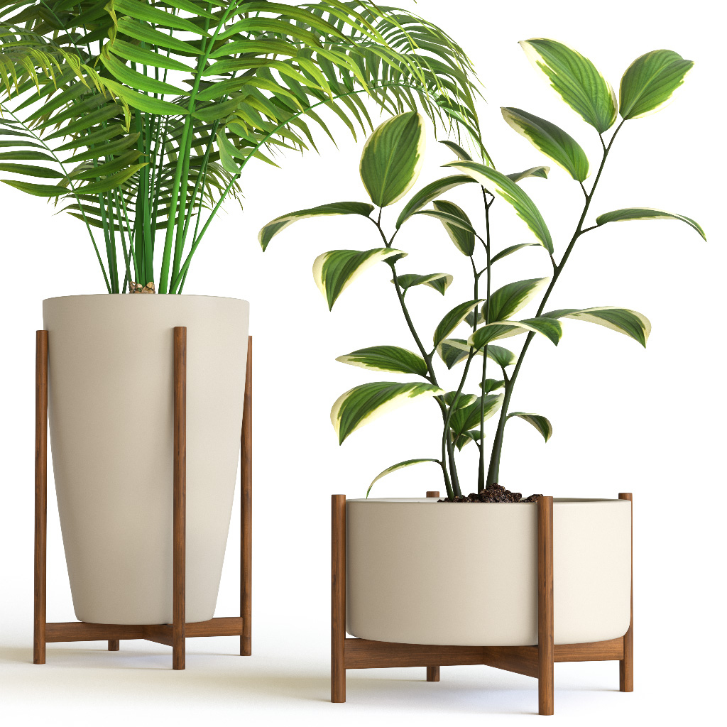 3D plant set - TurboSquid 1226909