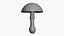 Amanita Muscaria