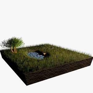 Grass pond landscape