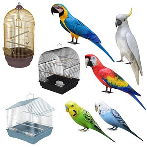Cages and Birds Collection 8 in 1 3D model