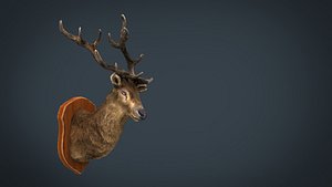 DEER TROPHY
