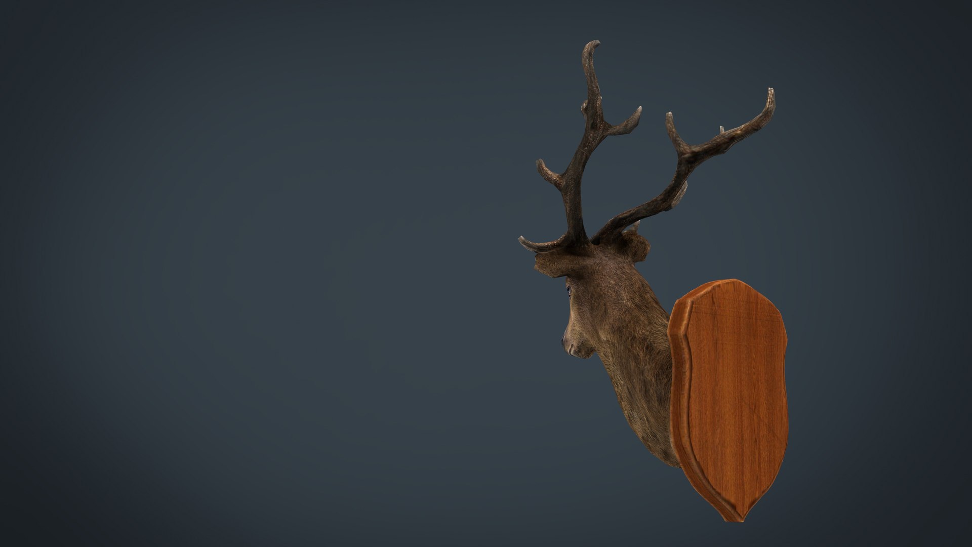 deer trophy model https://p.turbosquid.com/ts-thumb/EJ/3BxV6x/eB1OUbOf/deertrophy.1140/jpg/1561060791/1920x1080/fit_q87/b2cd78358203946a46a4c2494e4df57bce40b21d/deertrophy.1140.jpg