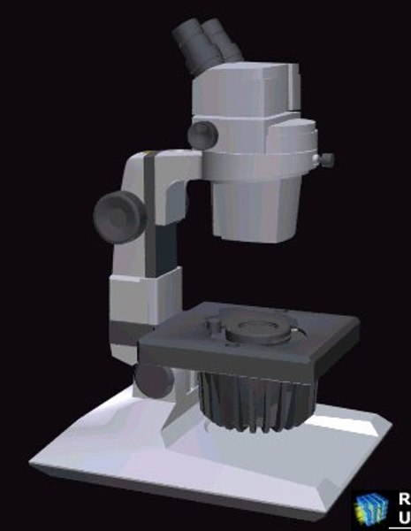 3d model of microscope disecting stereoscopic