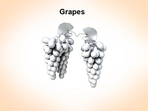 Bunch of grapes