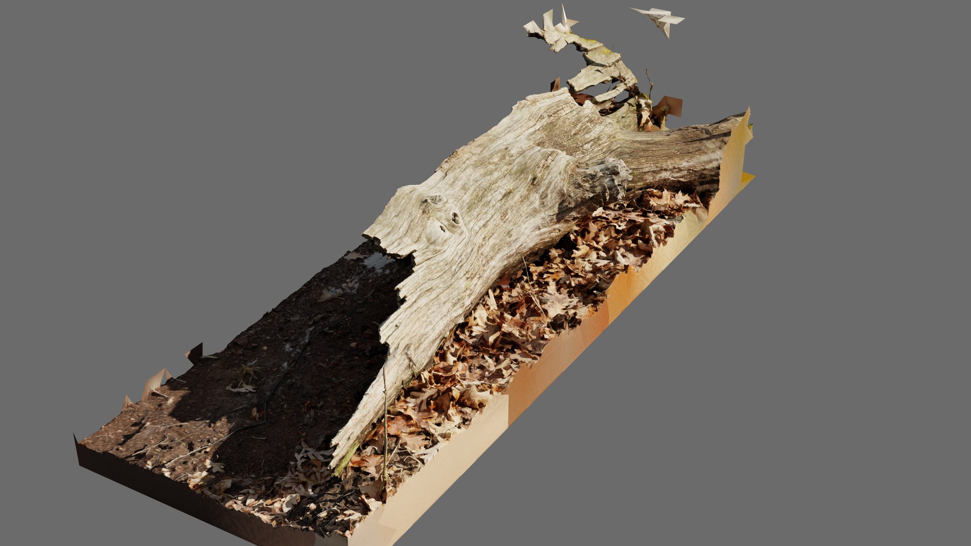 3D Half Rotting Fallen Tree Photoscan - TurboSquid 1721494