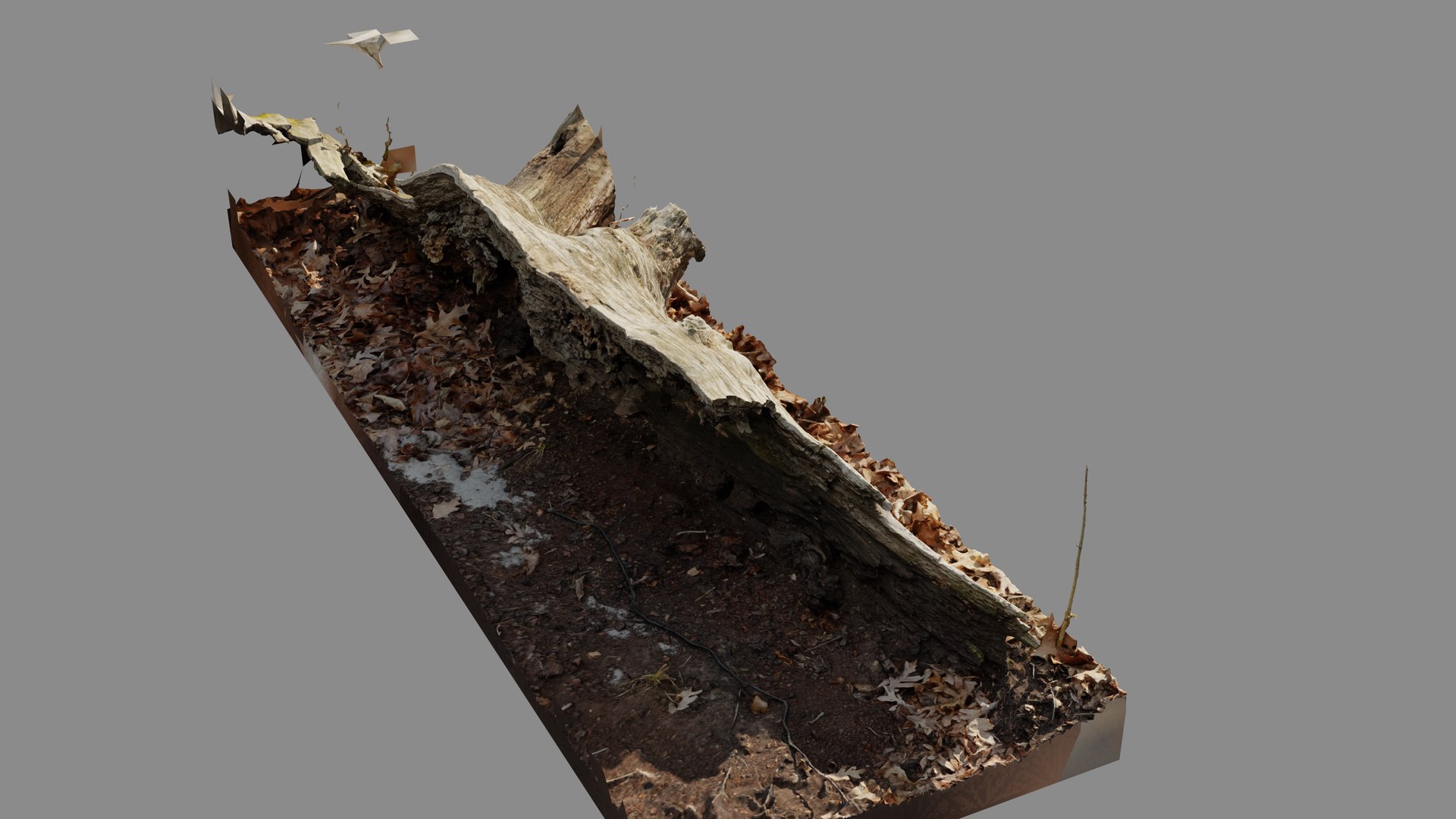 3D Half Rotting Fallen Tree Photoscan - TurboSquid 1721494