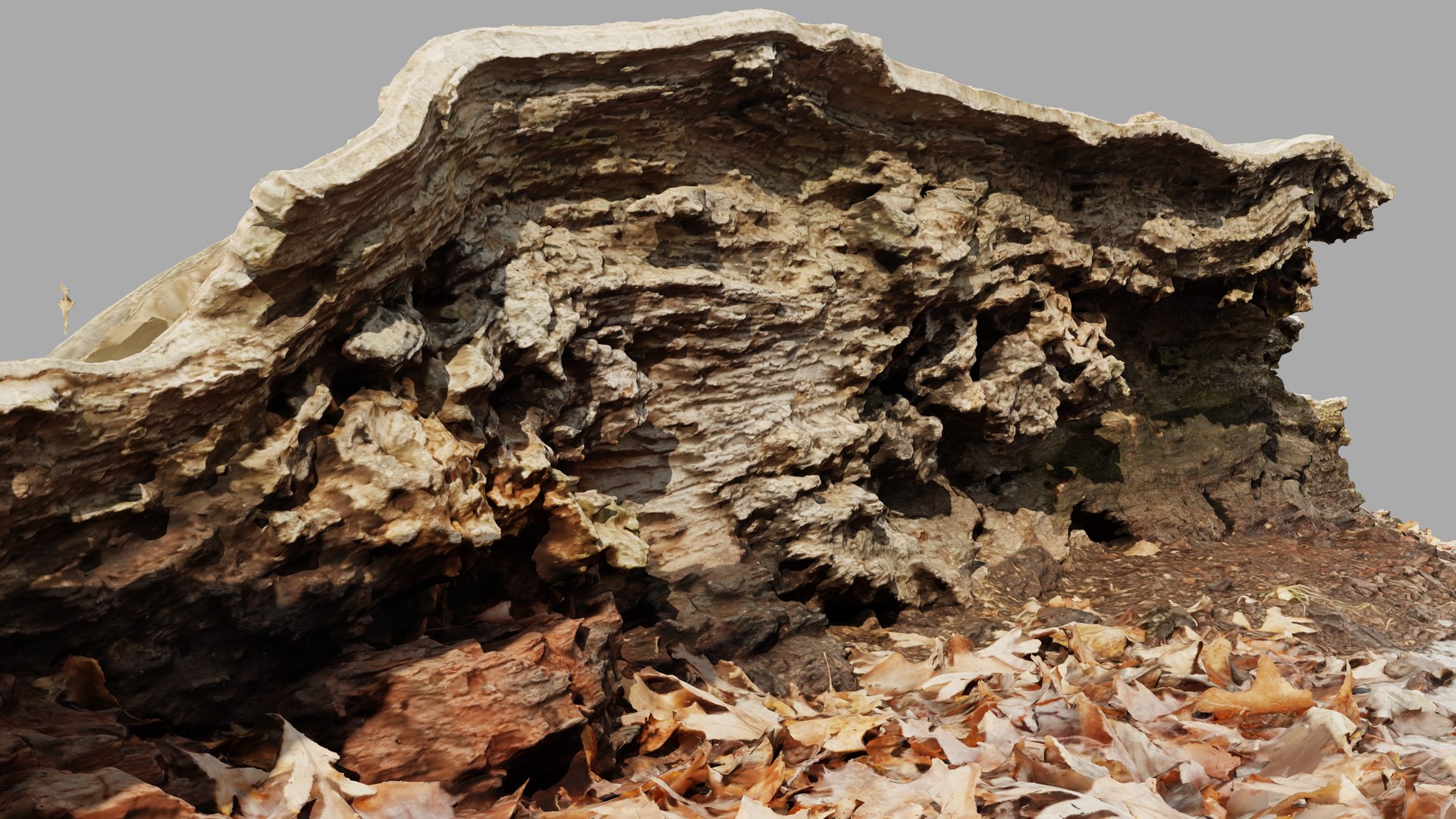3D Half Rotting Fallen Tree Photoscan - TurboSquid 1721494