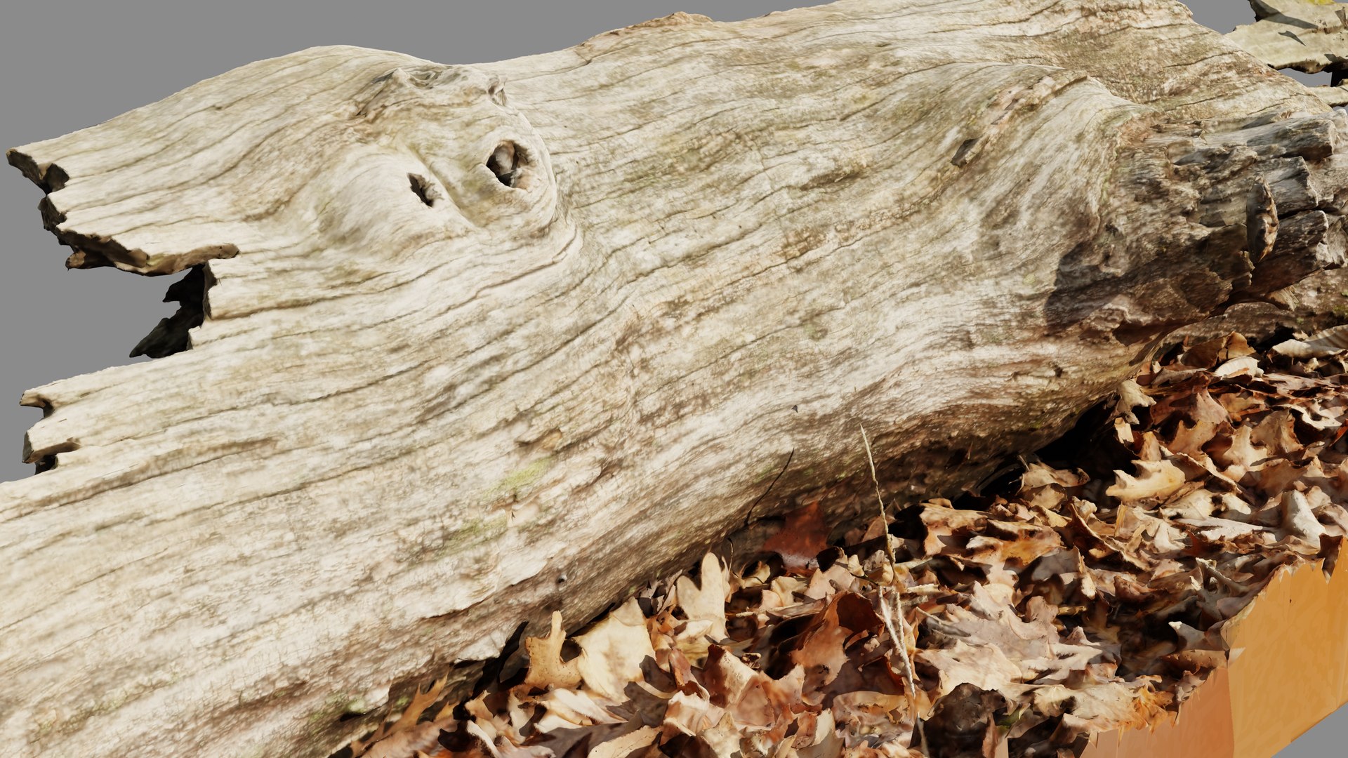 3D Half Rotting Fallen Tree Photoscan - TurboSquid 1721494