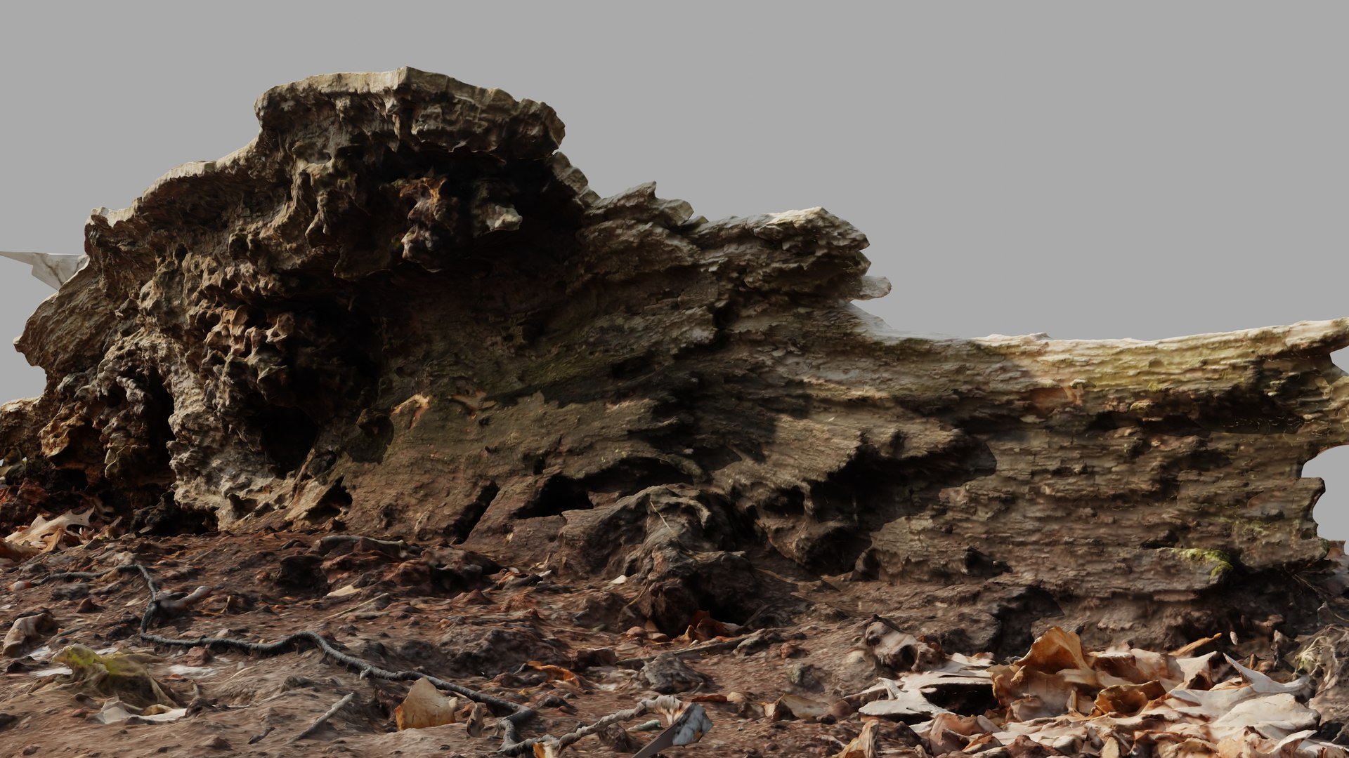 3D Half Rotting Fallen Tree Photoscan - TurboSquid 1721494