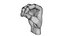 Low poly realistic Hand model collection