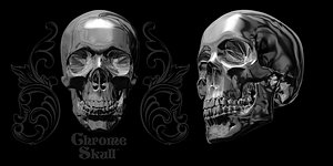 skull