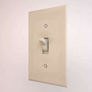 max light switch