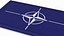 Parche de la bandera de la OTAN