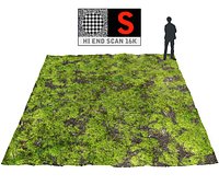 Forest ground 16K Ultra HD (2)