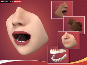 Lips - Mouth - Teeth - Human Anatomy -- 3 Skin Textures -- Rigged