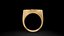 Lot de 12 bagues astrologiques