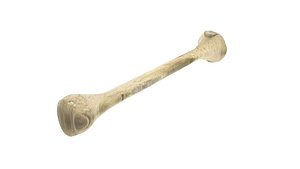 Bone