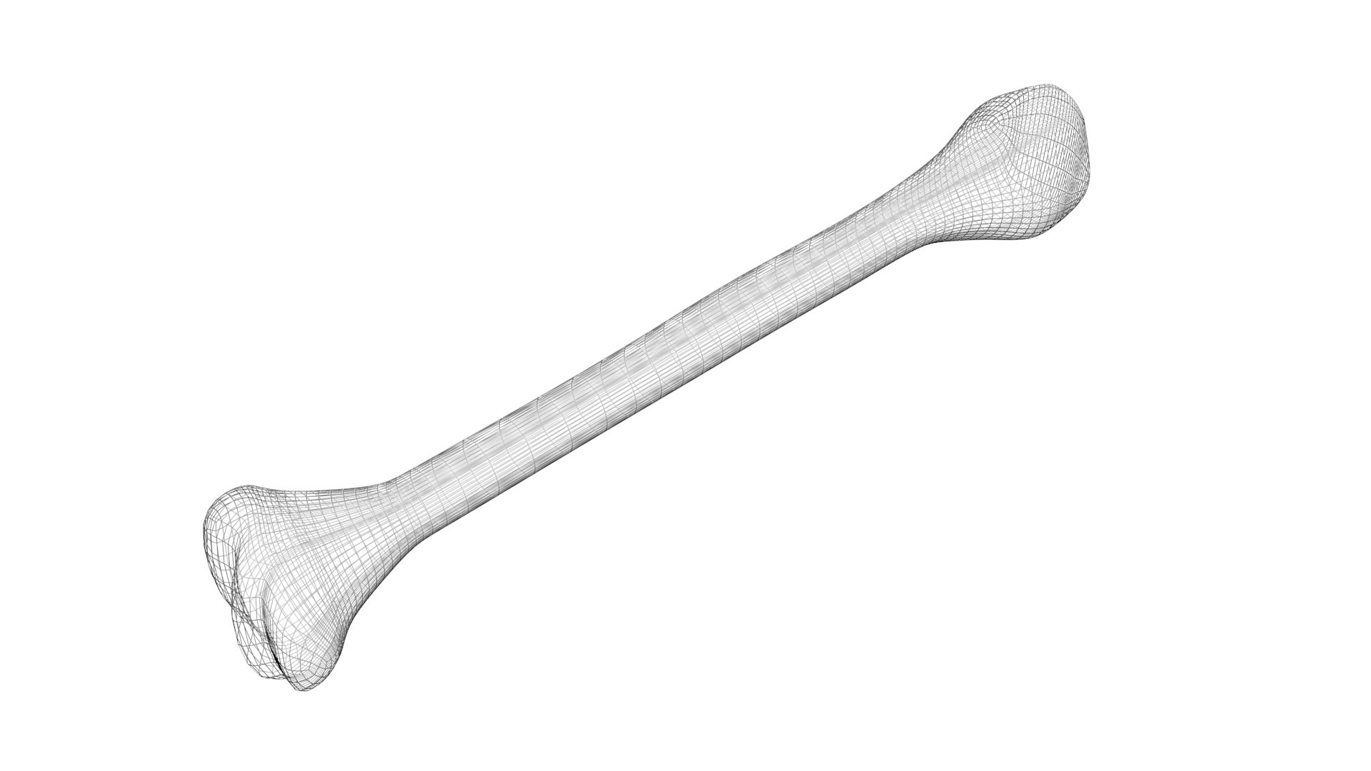 3D Bone model - TurboSquid 1921254