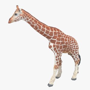 3D giraffe