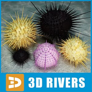 3d urchins sea set