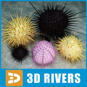 Sea urchin set by 3DRivers