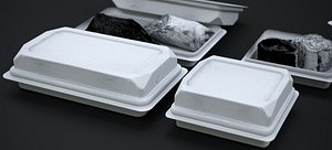 WRAP SANDWICHES IN FOOD PACKAGE 2024 3D